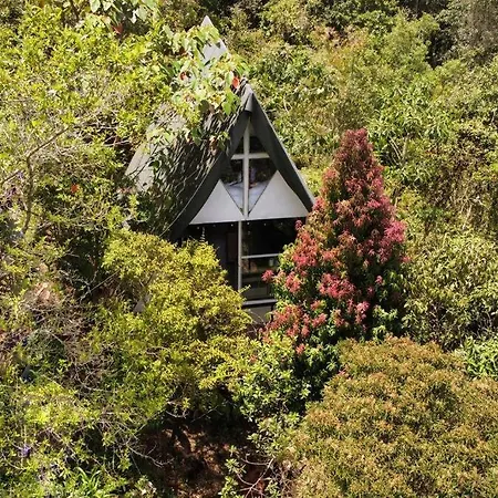 Chalet Entrenubes Villa